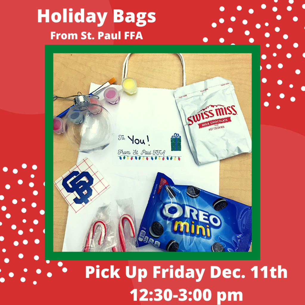 holiday gift bag