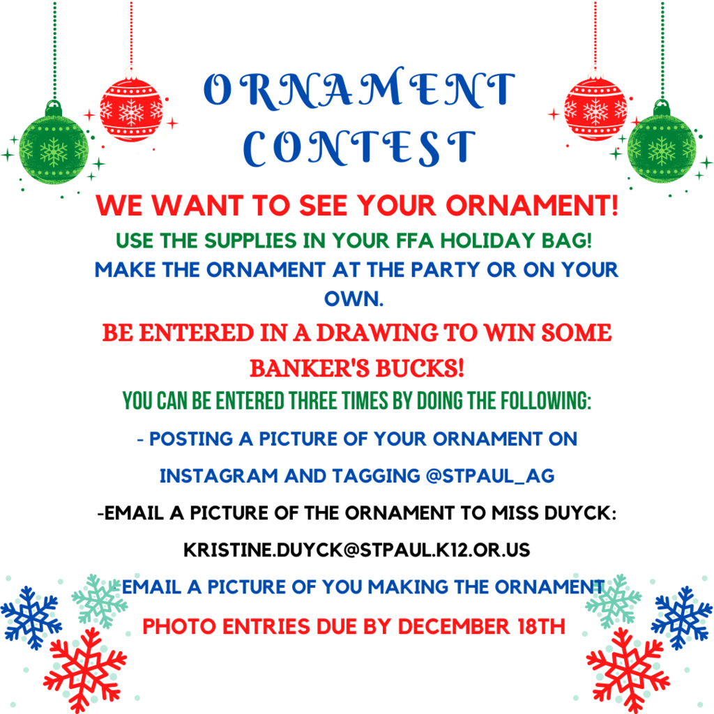 Ornament Contest
