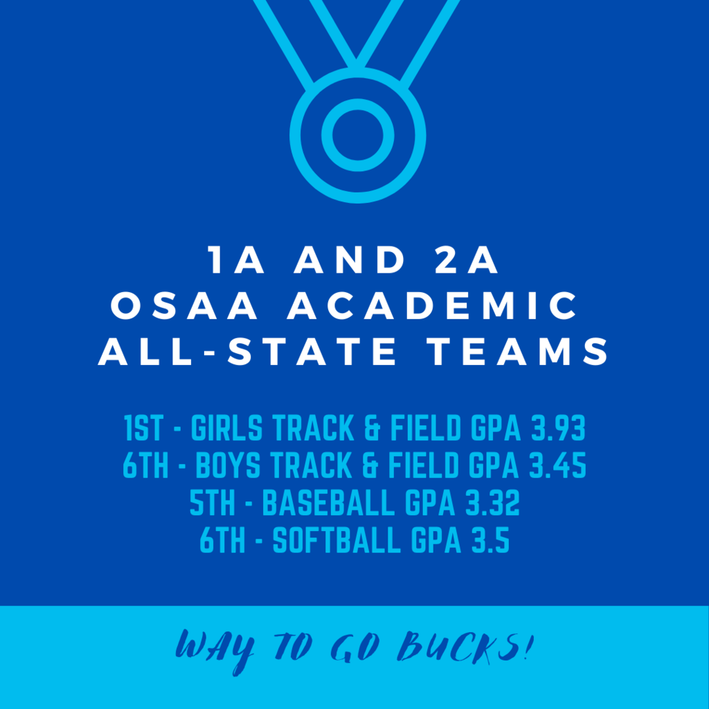 Acad All-State teams spring